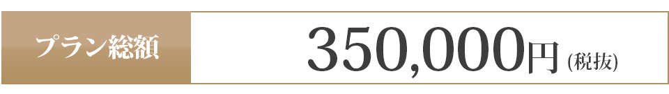 350,000円 (税抜)