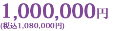 1,000,000円 (税込1,080,000円)