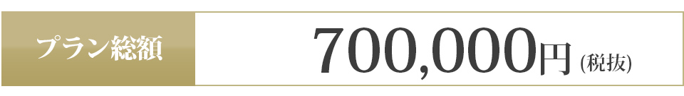 700,000円 (税抜)
