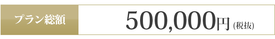 500,000円 (税抜)