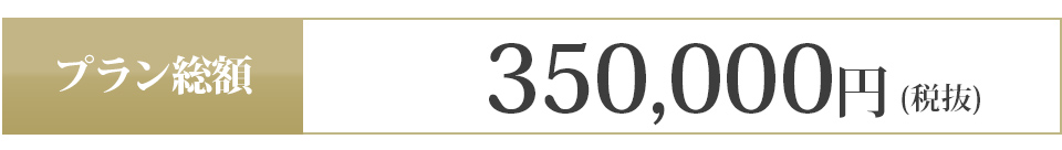 350,000円 (税抜)