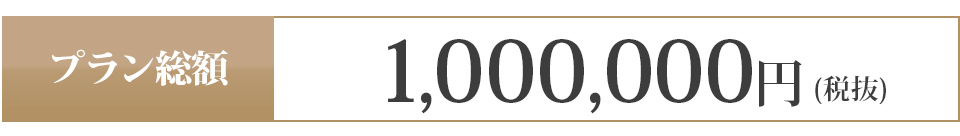 1,000,000円 (税抜)