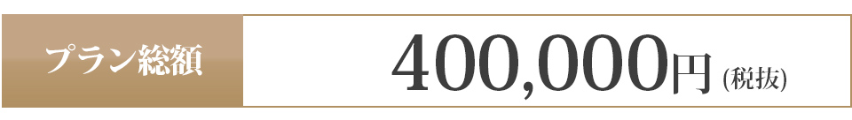 400,000円 (税抜)