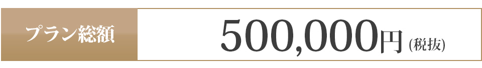 500,000円 (税抜)