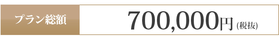 700,000円 (税抜)