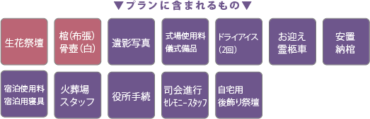５０プラン内容