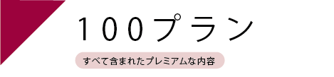 １００プラン