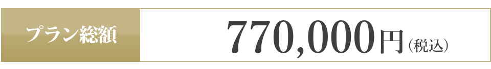 770,000(税込)