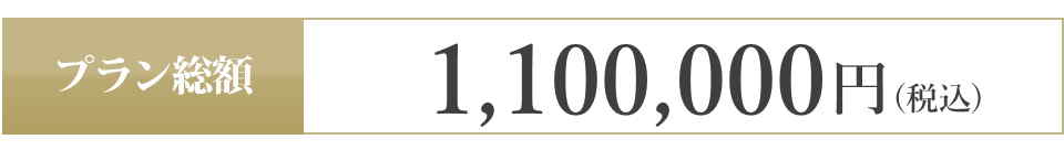 1,100,000(税込)