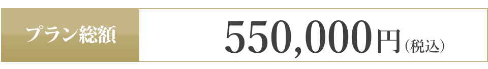 550,000(税込)